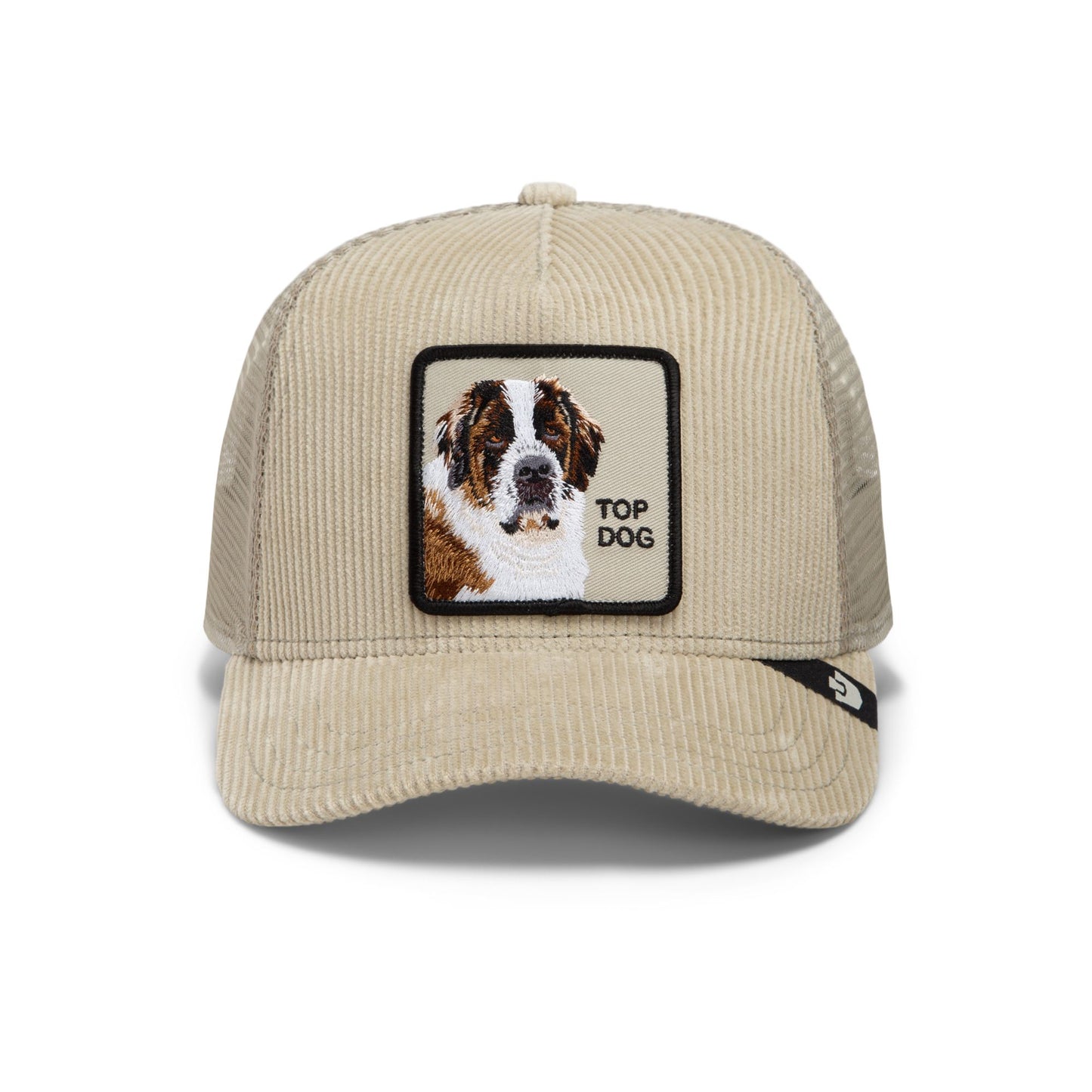 Corduroy Top Dog