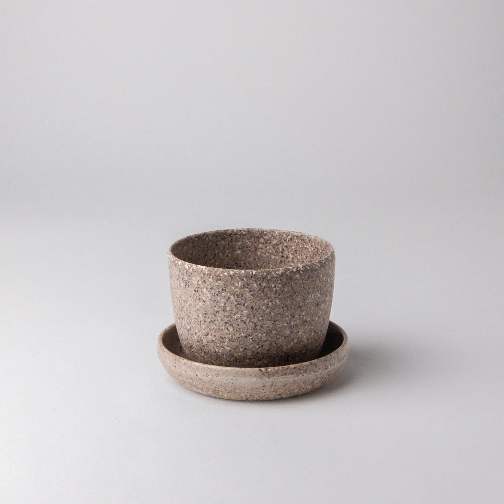 Nut Husk Planter - 3"