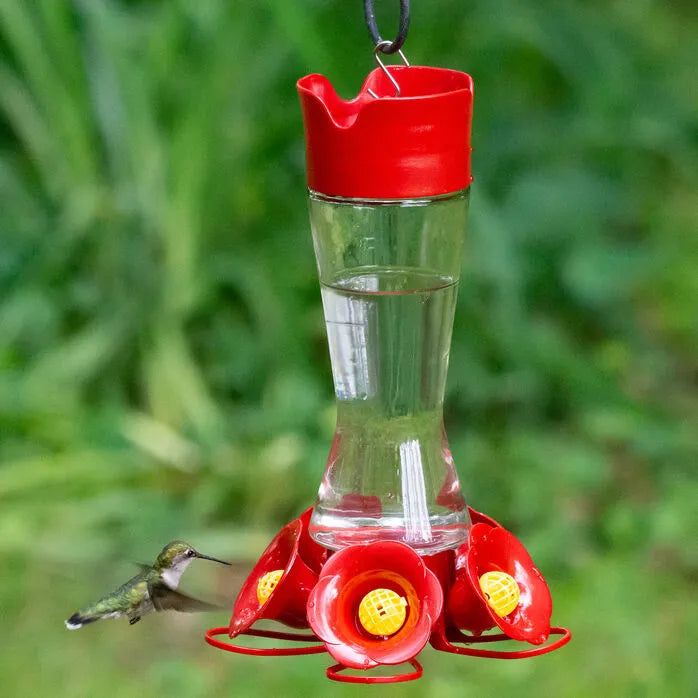 Pinch waist glass hummingbird feeder