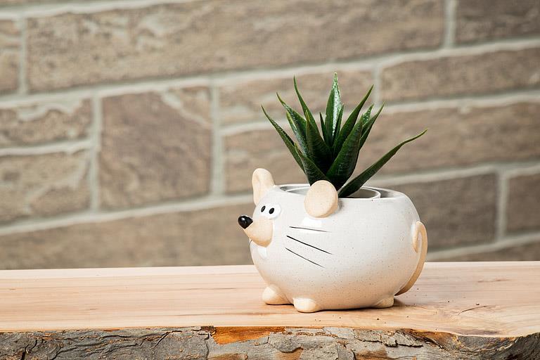 Mouse Pot