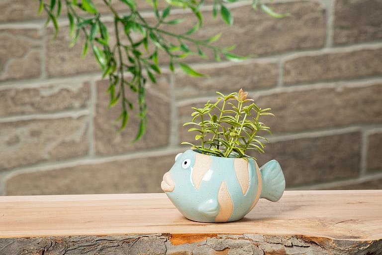 Blue Fish Planter