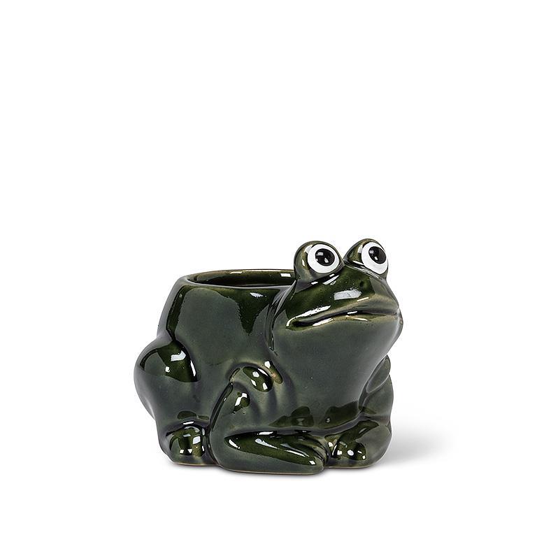 Small Frog Pot