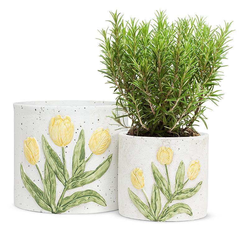 Tulip Planter