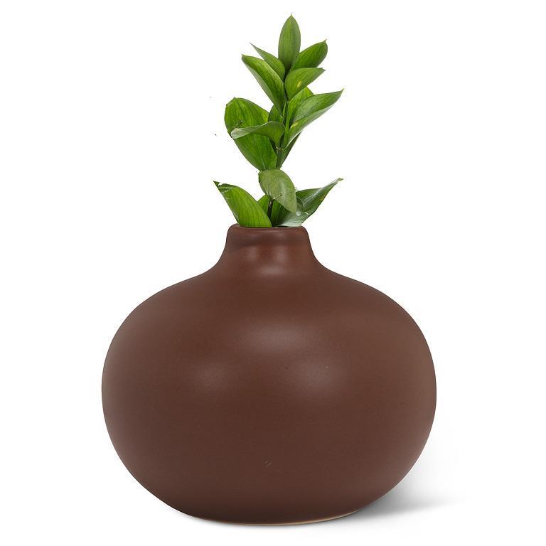 Brown Bud Vase