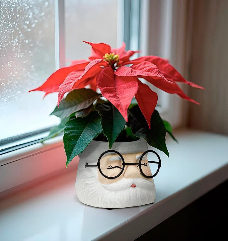 Santa Face Pot