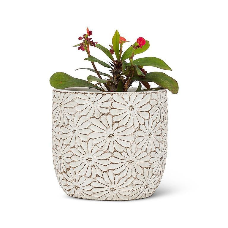 White Daisy Planter