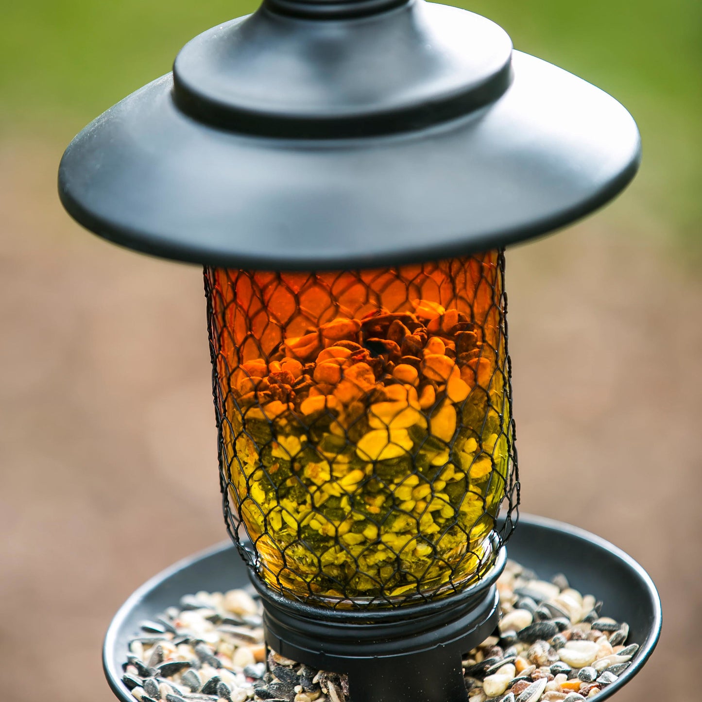 Glass & Metal Bird Feeder