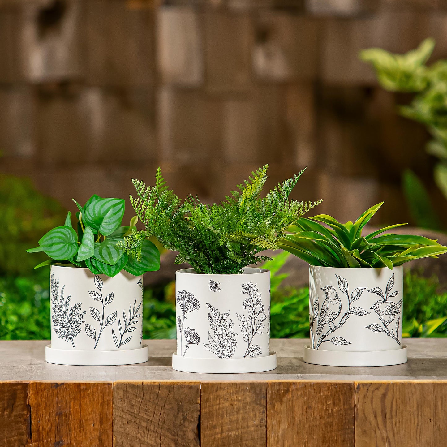 b-w-garden-pot-w-saucer