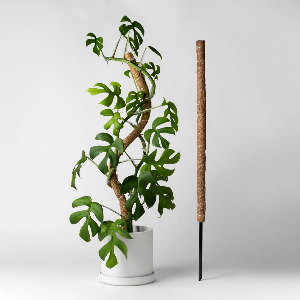 18" Bendable Coc Coir Pole w/Stake
