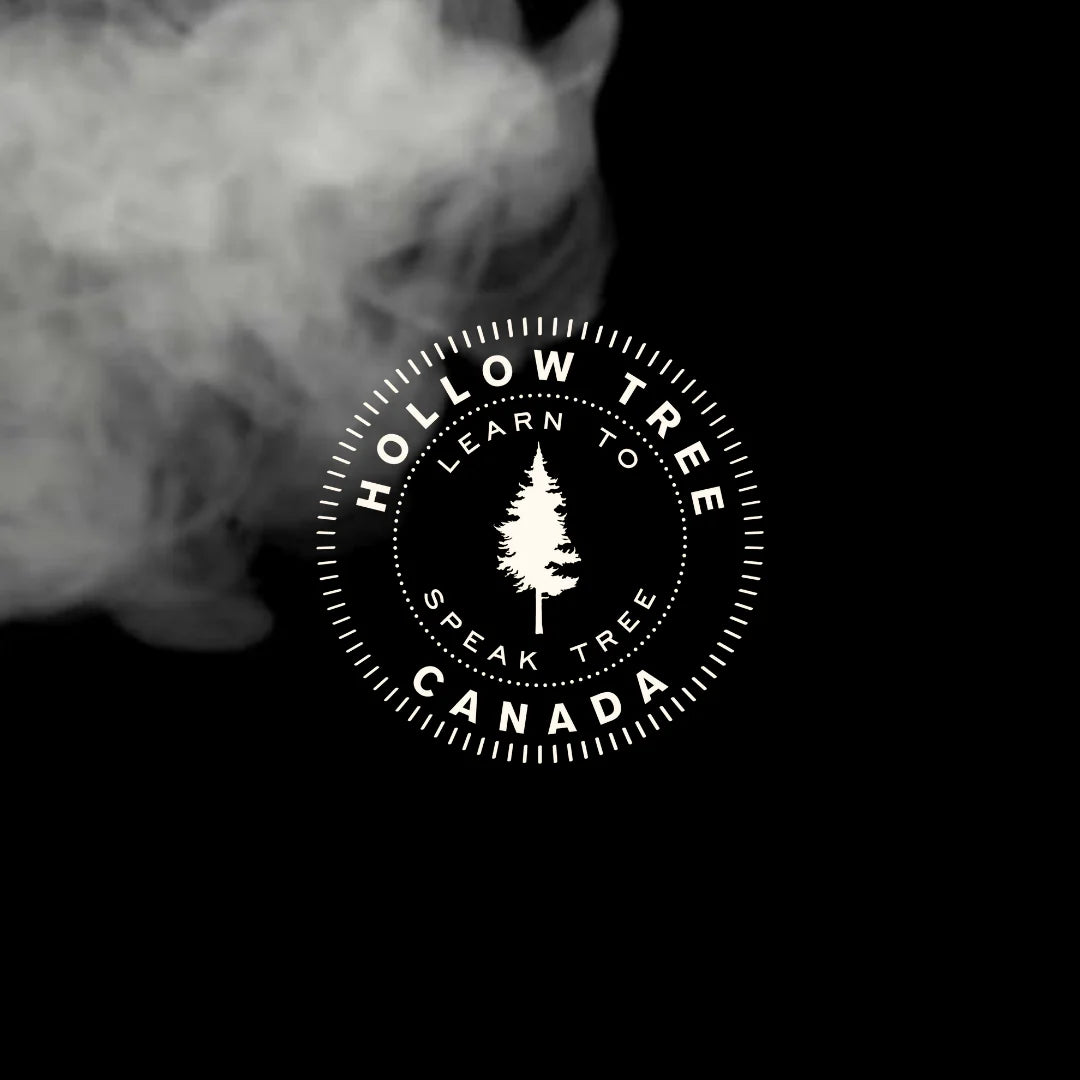 Summer Daze Diffuser OIl