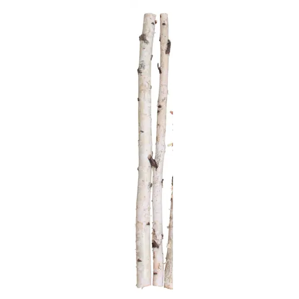 Birch Poles