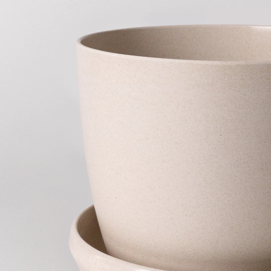 5-white-bamboo-pot-w-saucer