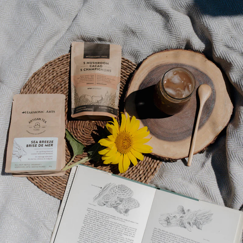 5 Mushroom Cacao Drink