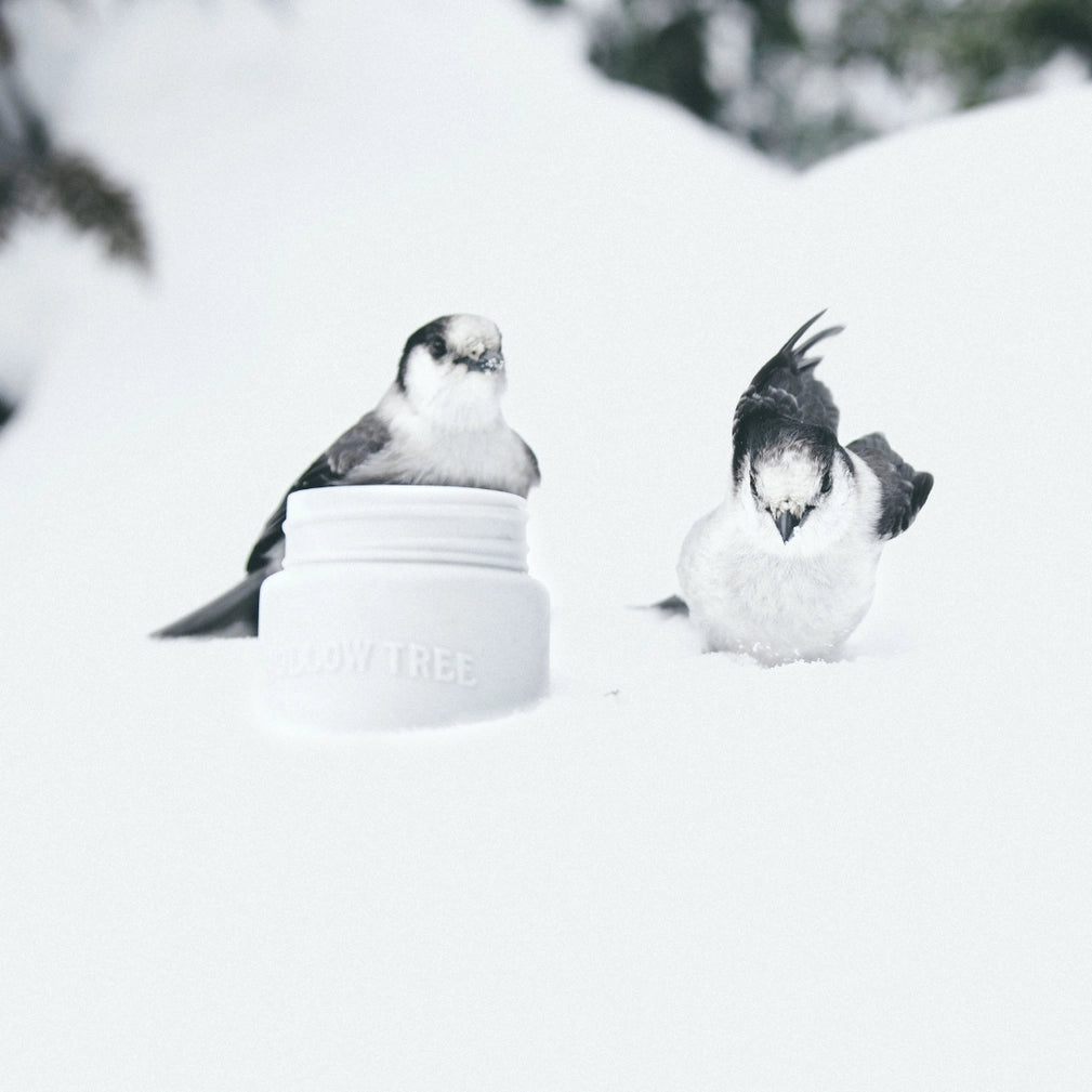 Whistler Mountain Candle