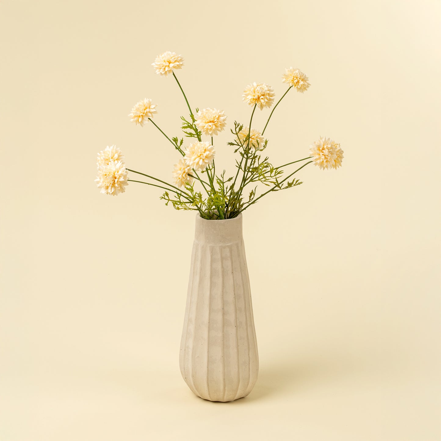 Mini Chrysanthemum
