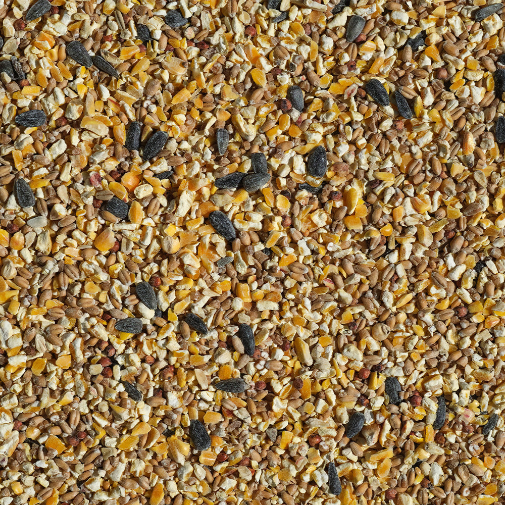 All Season Bird Seed