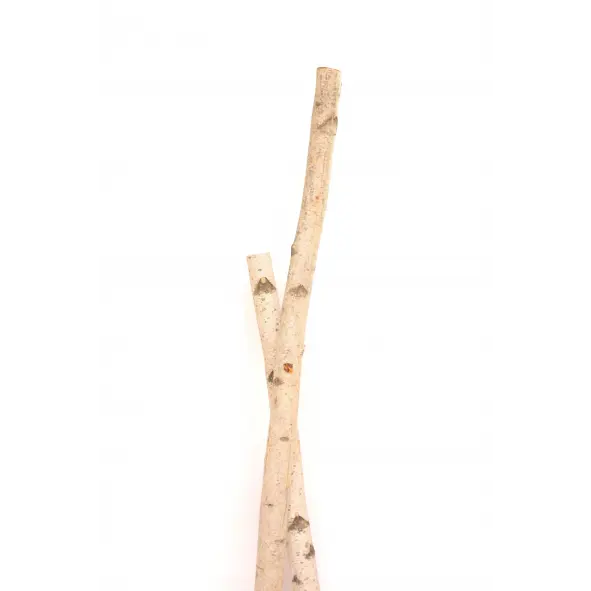 Birch Poles