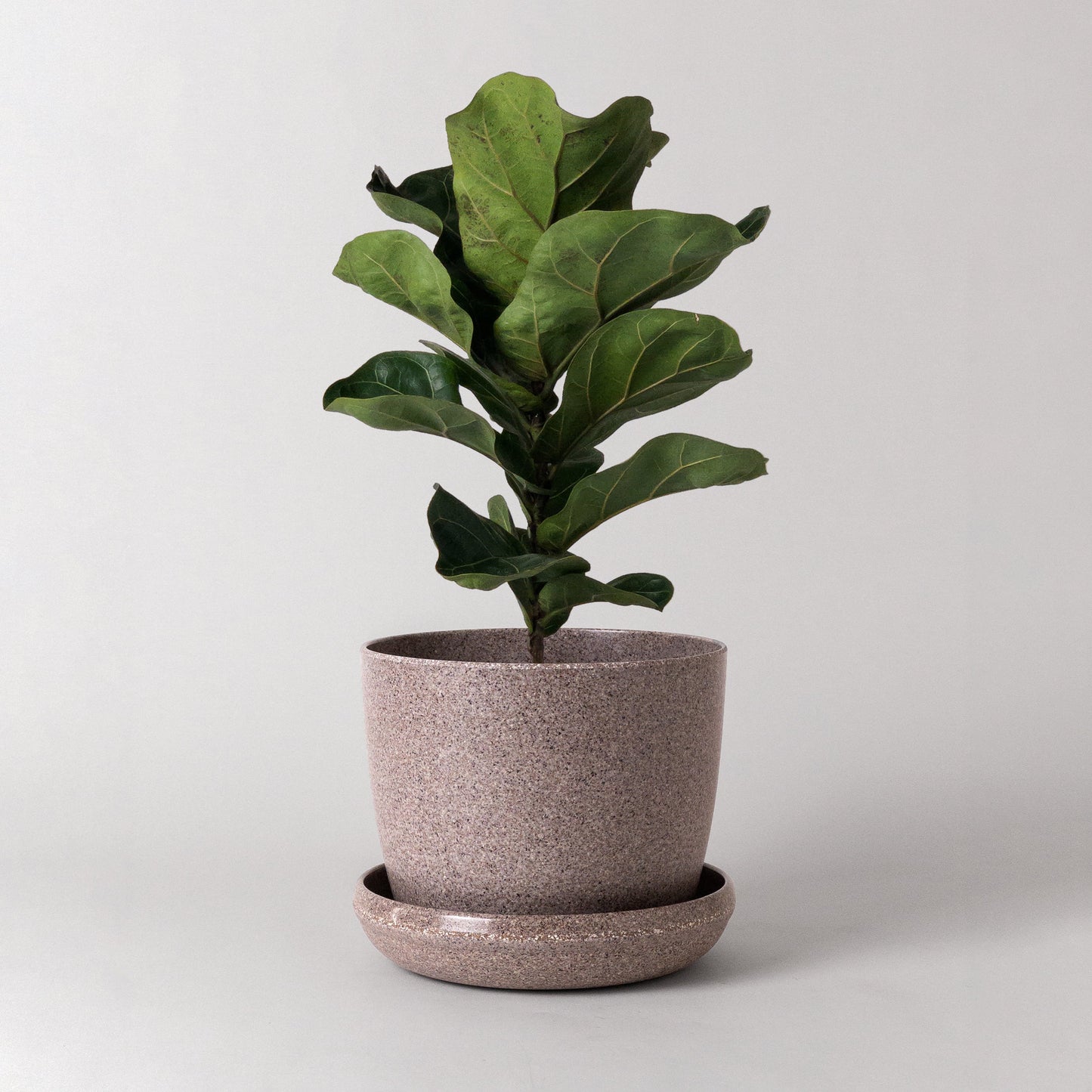 7" Upcycled Pot w/saucer