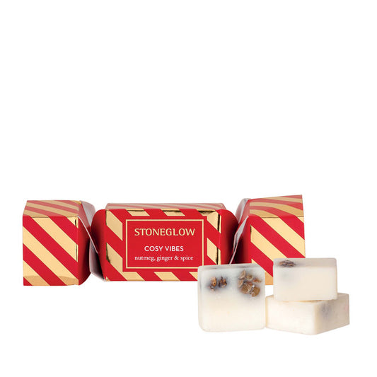 Cozy Vibes Soy Melts