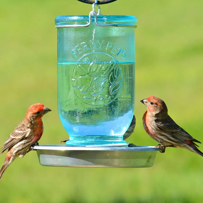 Mason Jar Feeder