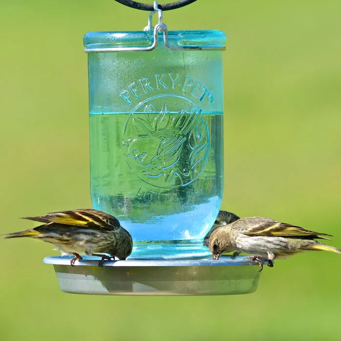 Mason Jar Feeder