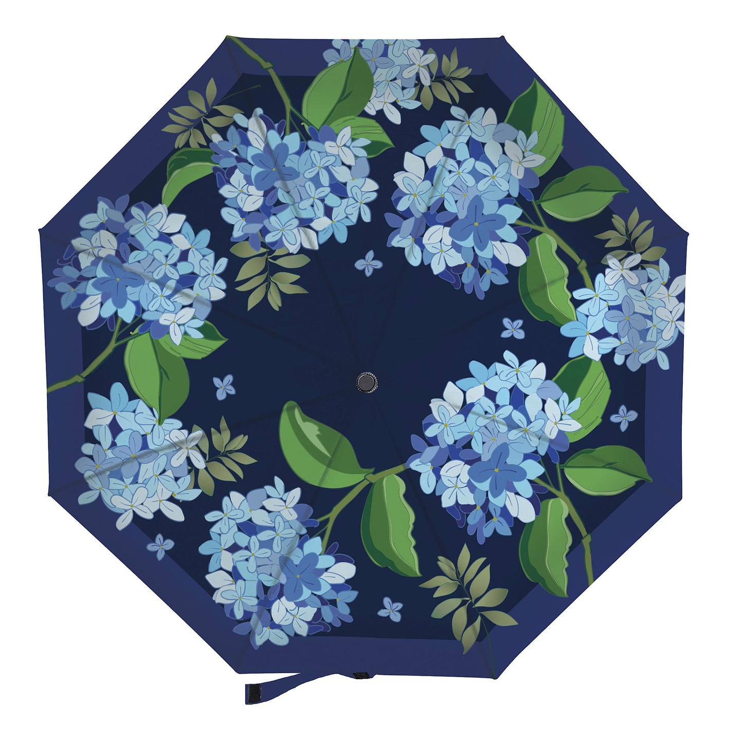 hydrangea-compact-umbrella