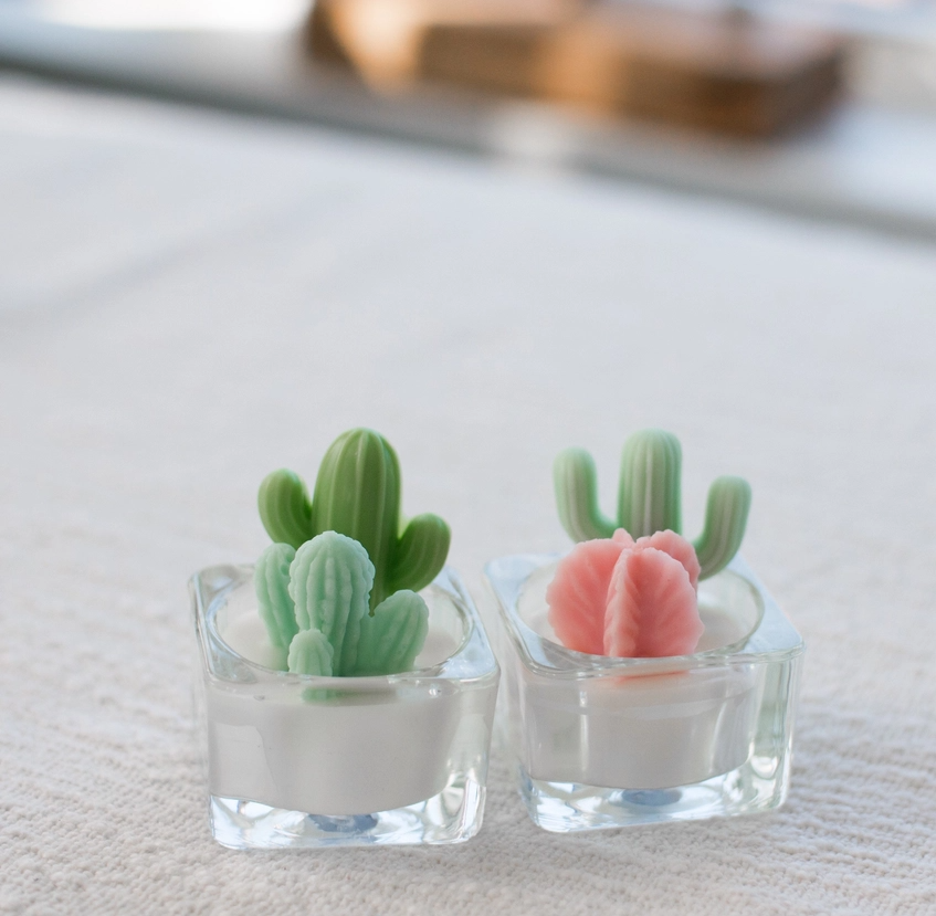cactus-succulent-tealight-candle