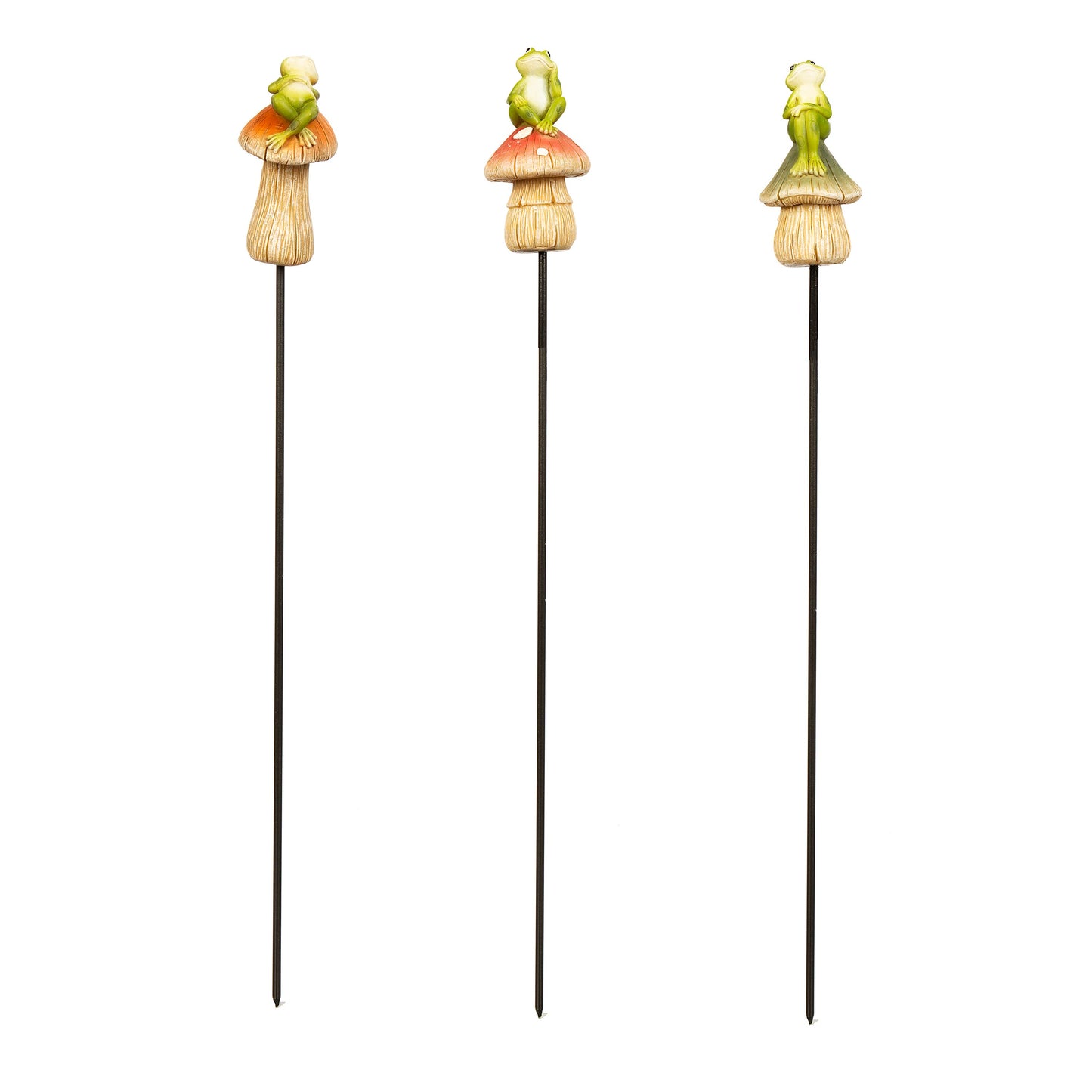 Friendly Frog Plant PIck