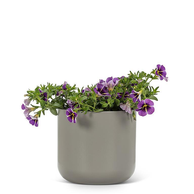 Grey Classic Planter - 5"