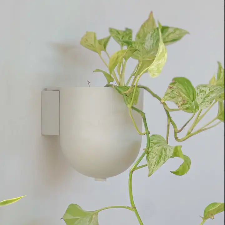 Wall Mounted Pot