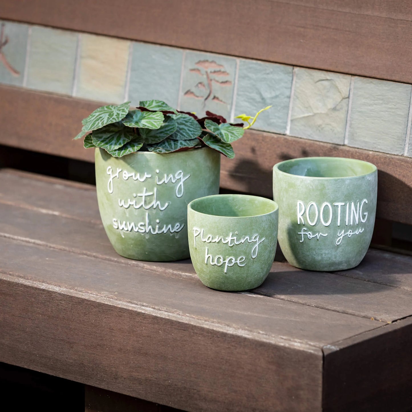 Text Planter