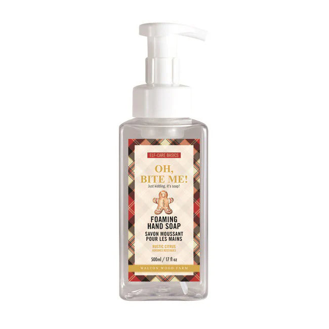 Gingerbread Foam Soap