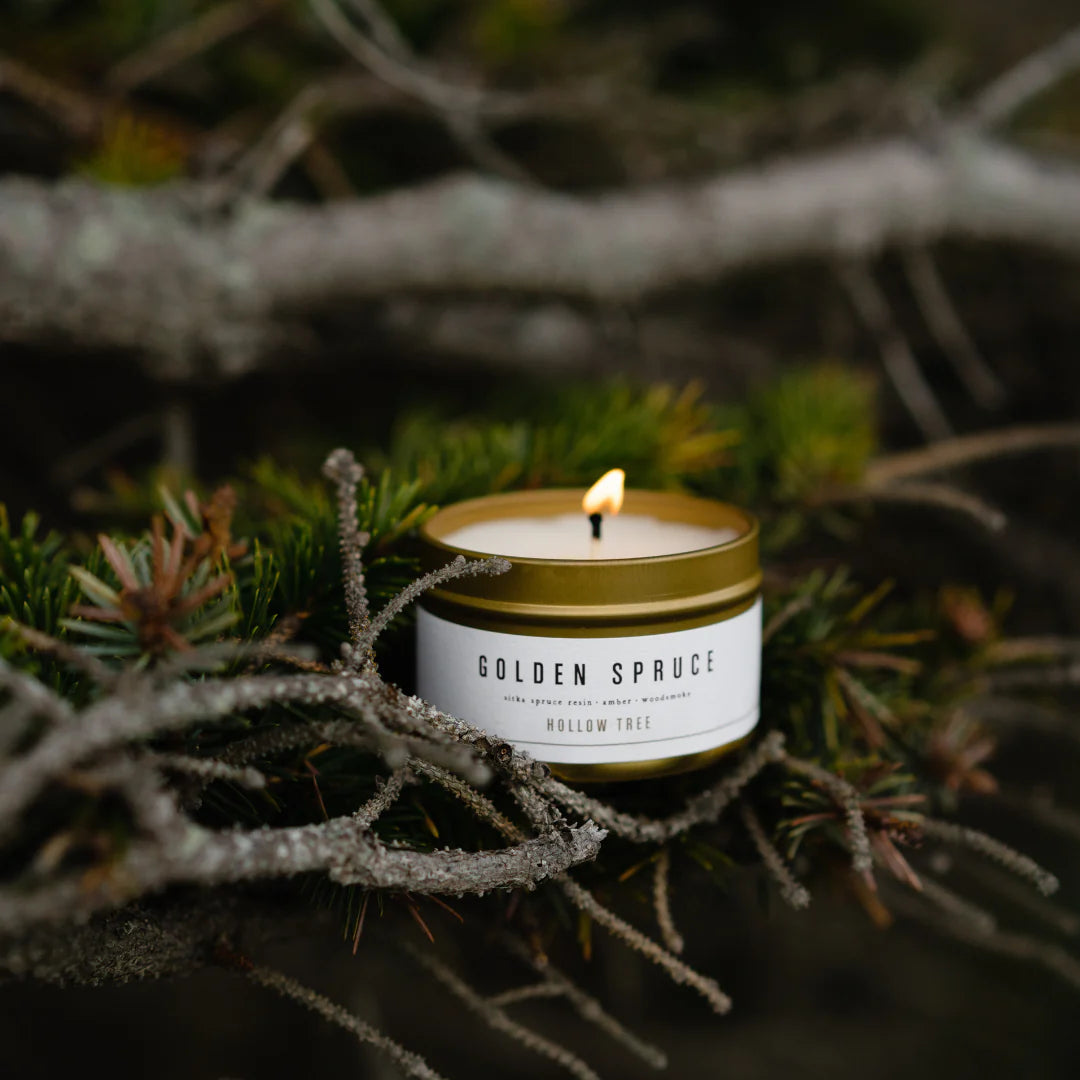 Golden Spruce Candle - Travel Candle