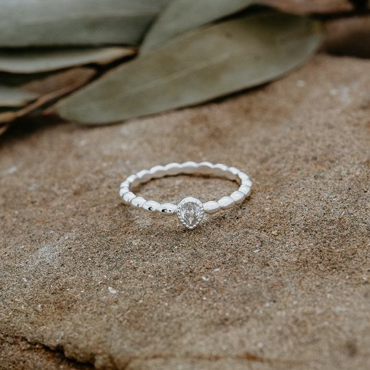Holly Ring