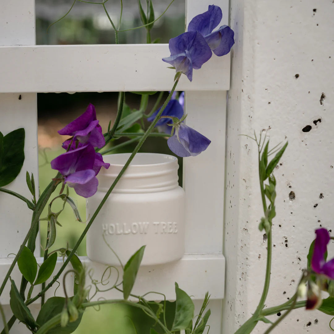 Coastal Wolf Candle -9oz