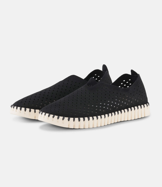 Tulip Shoe
