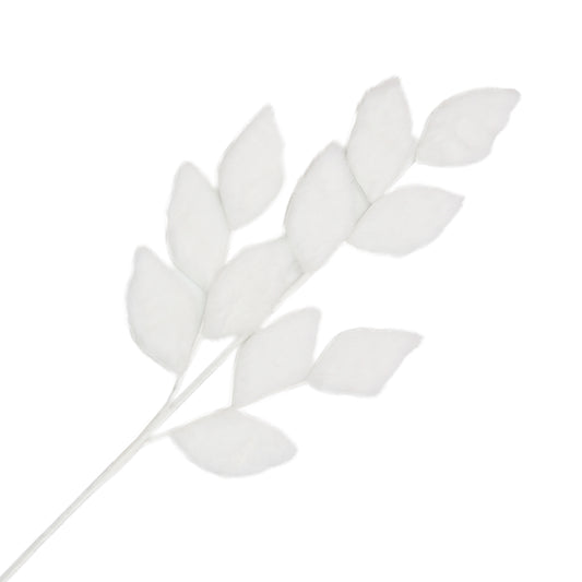 Fur Magnolia Leaf Spray