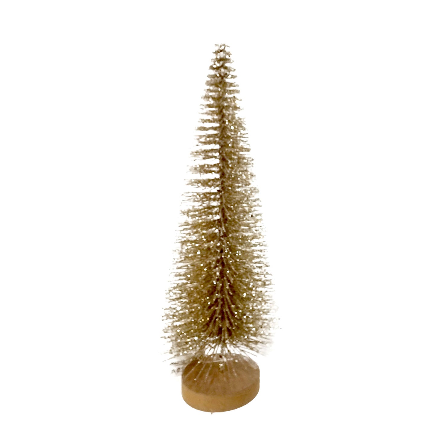 Gold Bottlebrush Tree