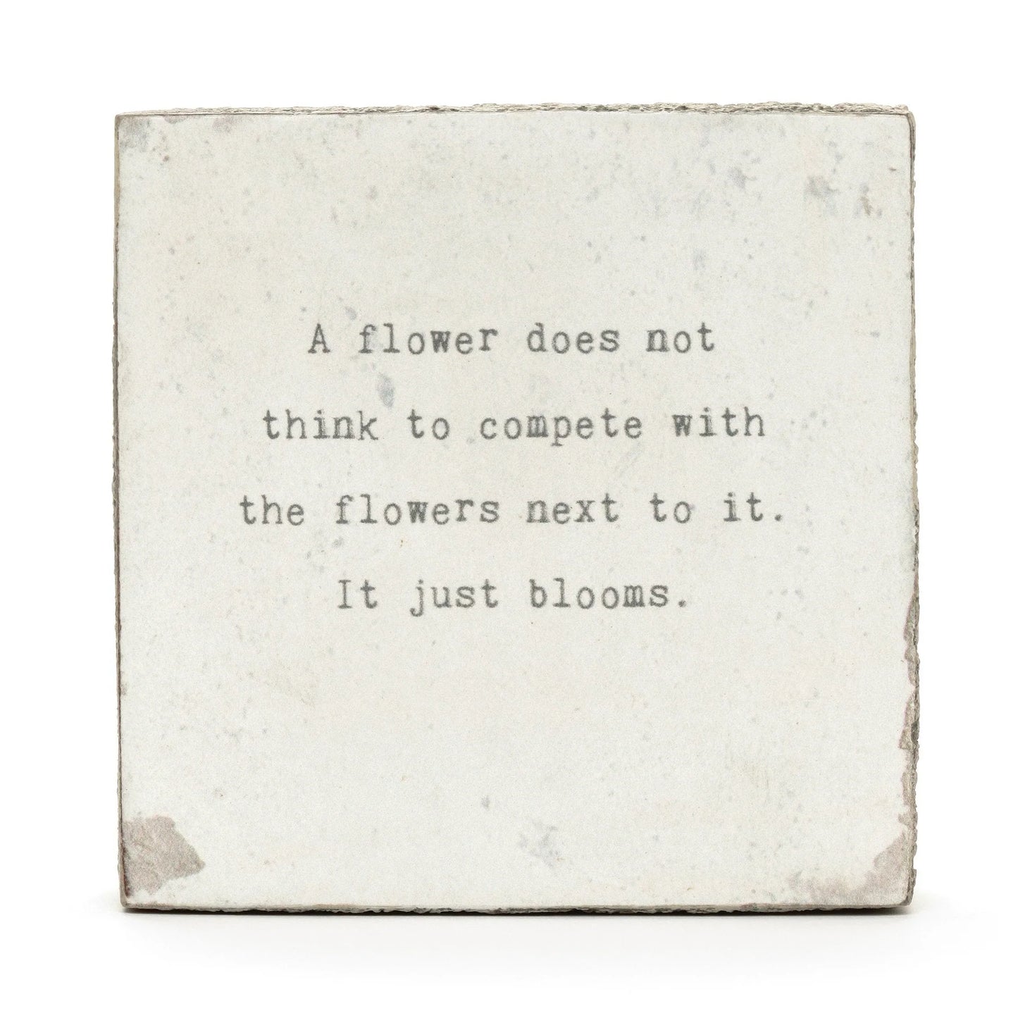 A Flower does Not Little Gem
