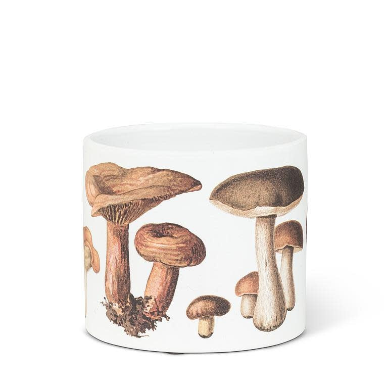 botanical-mushroom-pot