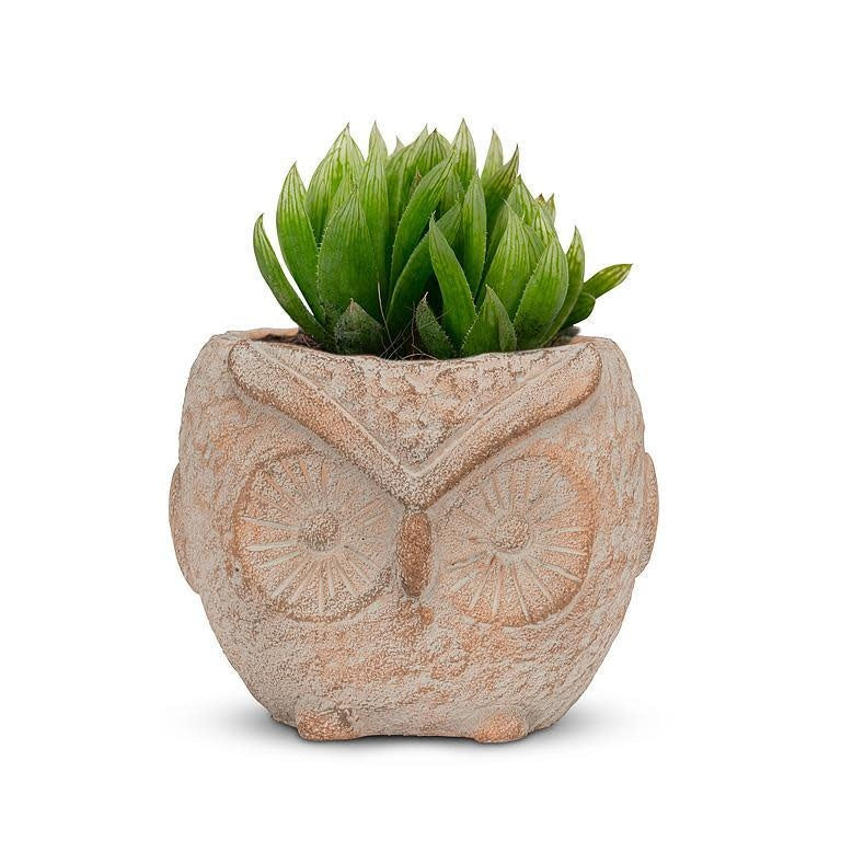 terracotta-owl-pot-3