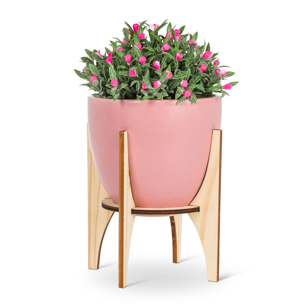 Pink Pot on Wood Stand - 7"