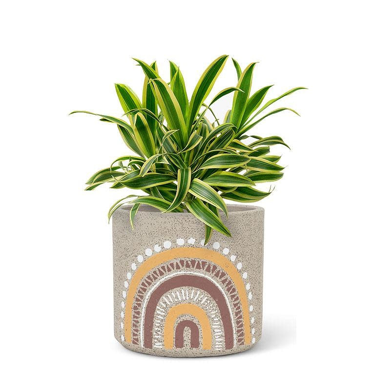 Boho Rainbow Pot - 4"