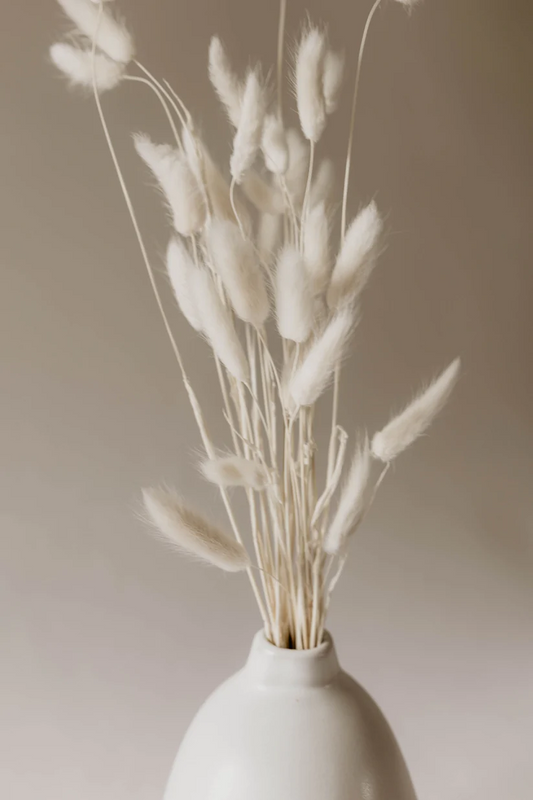 white-bunny-tails-55172597