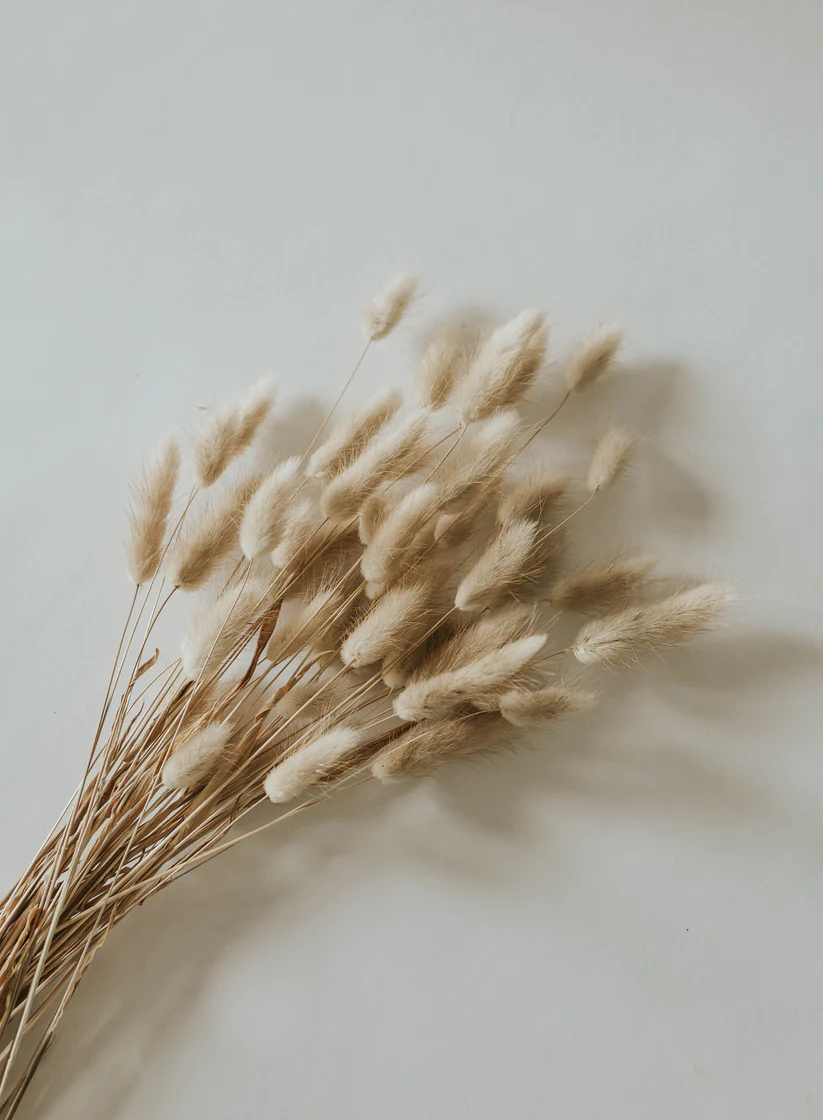 natural-bunny-tails-55173178