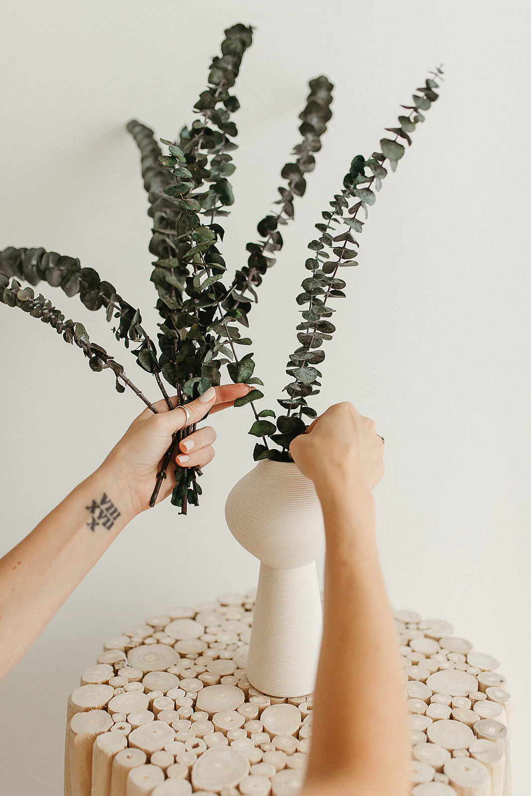 Preserved Eucalyptus