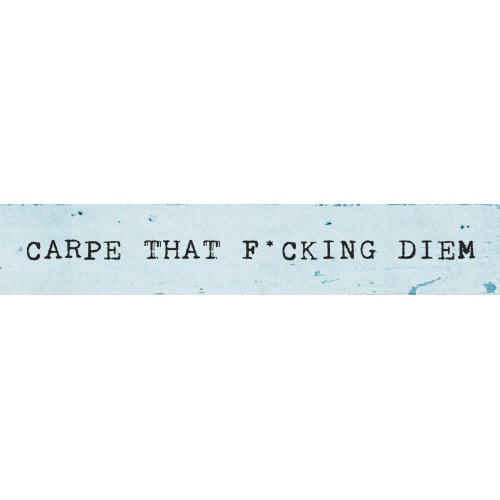 carpe-that-timber-bit