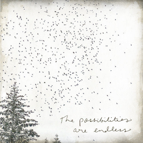 the-possibilities-little-gem