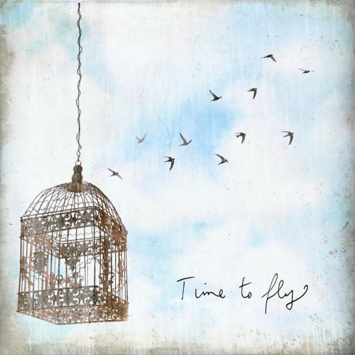 time-to-fly-little-gem