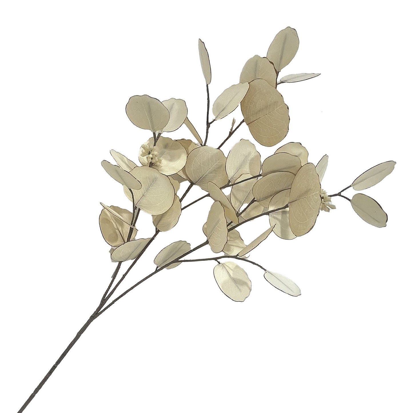cream-eucalyptus-spray-32